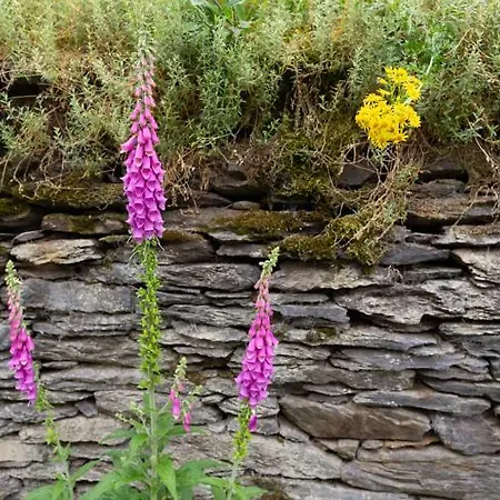 Coeur De Beurre Dom wakacyjny *