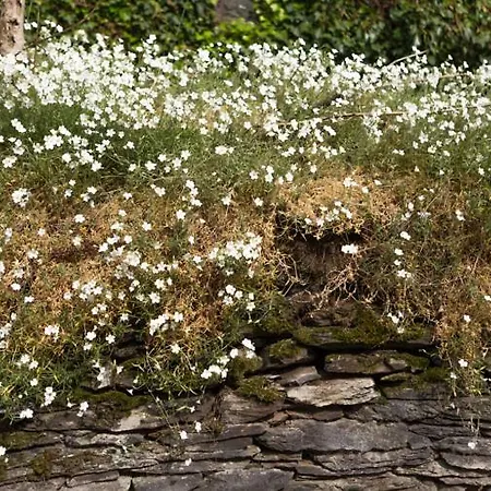 Coeur De Beurre Дом отдыха